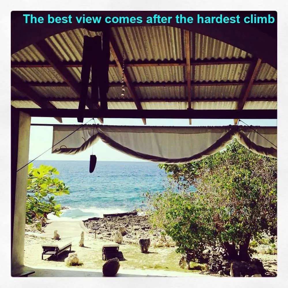 Hotel Jackies On The Reef Negril