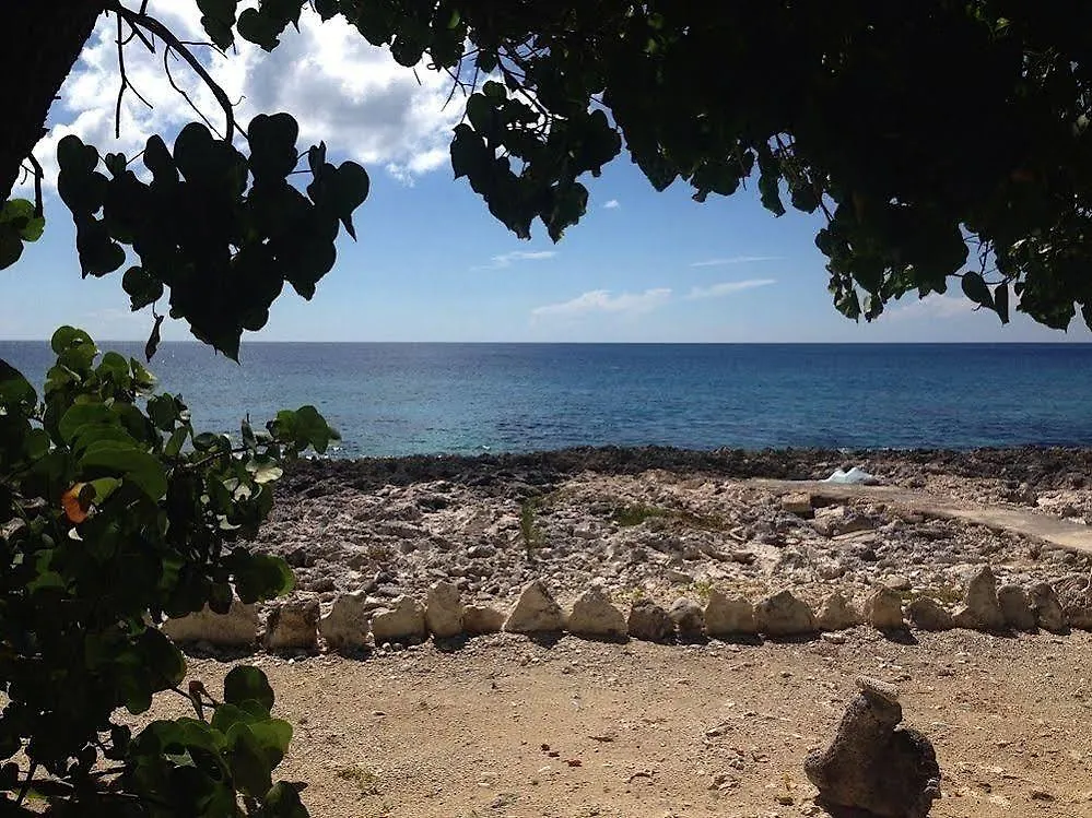 Hotel Jackies On The Reef Negril