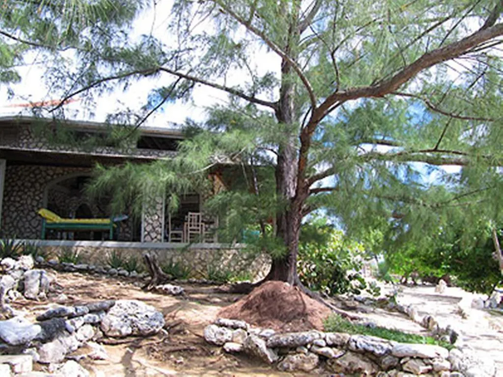 Hotel Jackies On The Reef Negril