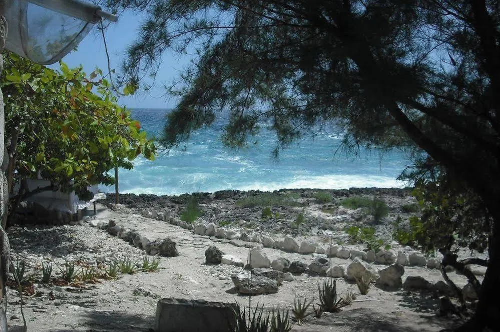 Hotel Jackies On The Reef Negril 3*,  Jamaica