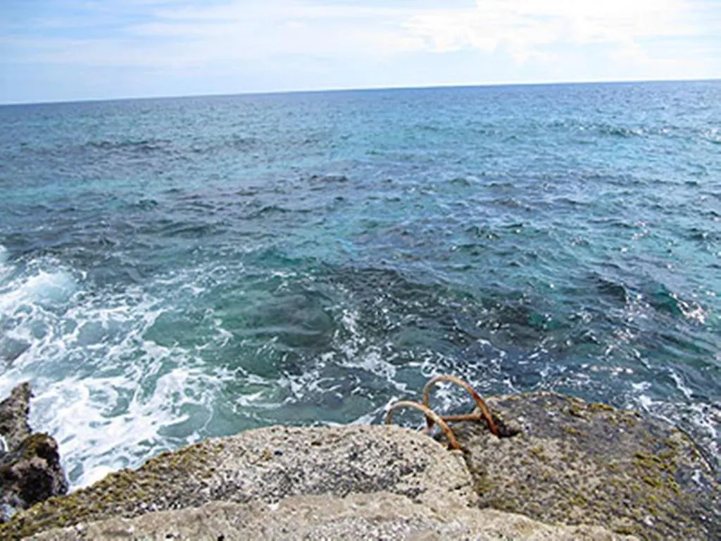 Отель Jackies On The Reef Негрил
