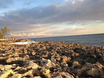 Отель Jackies On The Reef Негрил 3*,  Ямайка